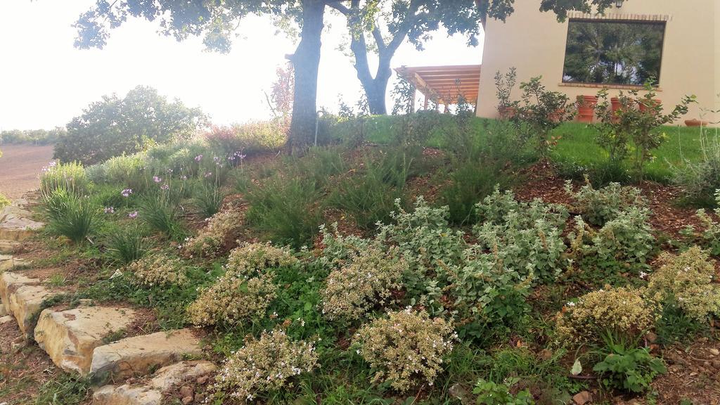 Agriturismo Sugheretello センプロニアーノ エクステリア 写真