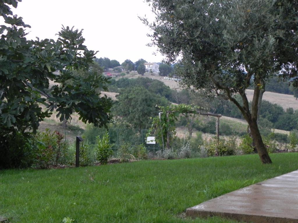 Agriturismo Sugheretello センプロニアーノ エクステリア 写真