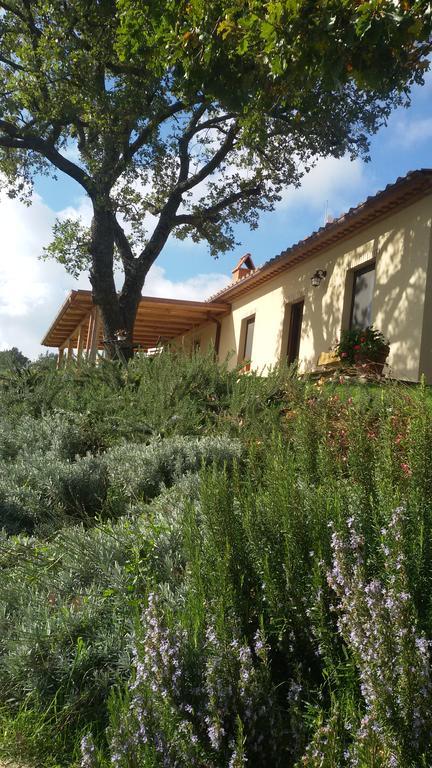 Agriturismo Sugheretello センプロニアーノ エクステリア 写真